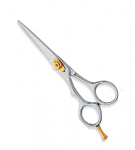 Professional hair Cutting Scissors