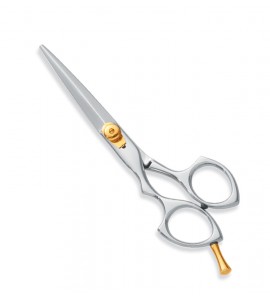 Professional hair Cutting Scissors